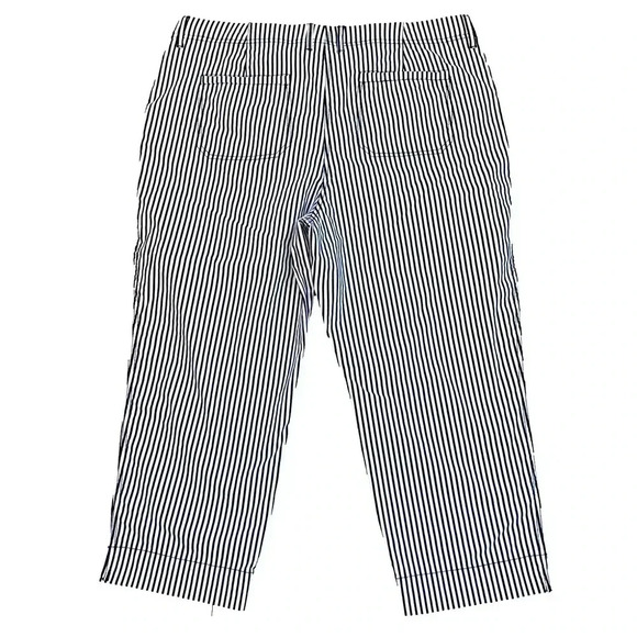 Chico’s Ankle Length Pants So Cute 🥰 Size 16 - Picture 4 of 14